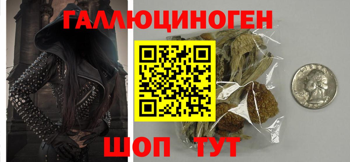 Галлюциногенные грибы Cubensis Обь
